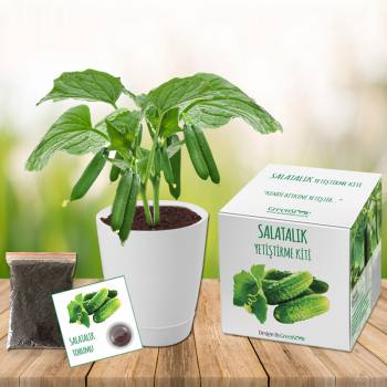 Salatalık Yetiştirme Kiti
